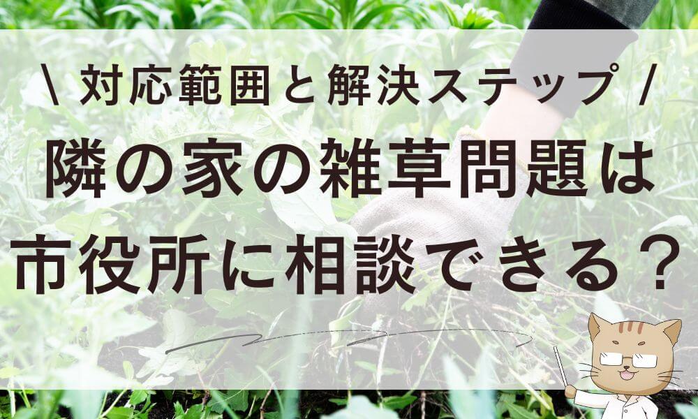 隣の家の雑草問題は市役所に相談できる?対応範囲と解決ステップ